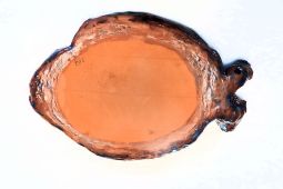 Keramická miska ve tvaru ryby